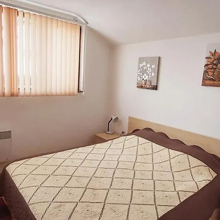 Apartment Fenix Bansko