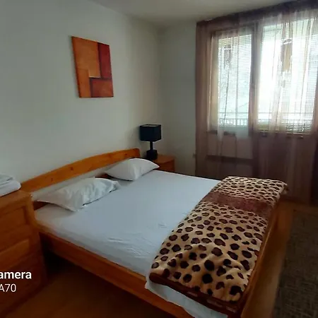 Apartment Fenix Bansko